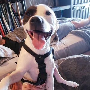 Meet your Posher, Cory